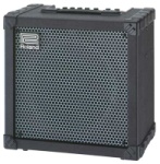 Guitar Amp 80 Watt